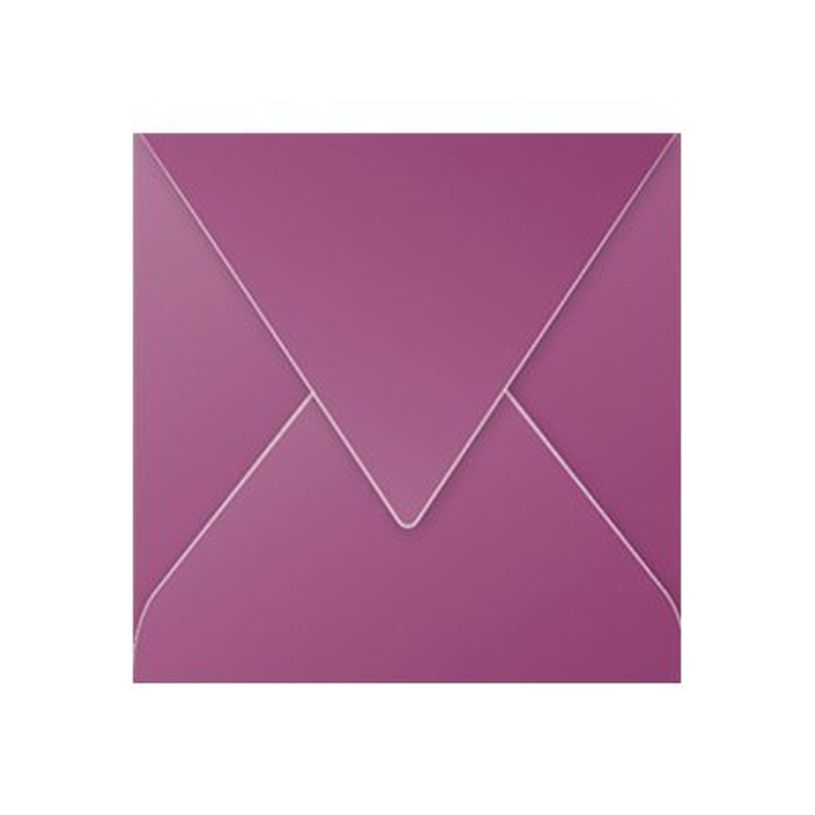 3329680052480-Pollen - 20 Enveloppes - 140 x 140 mm - 120 g/m² - cassis-P_79146764_1-0