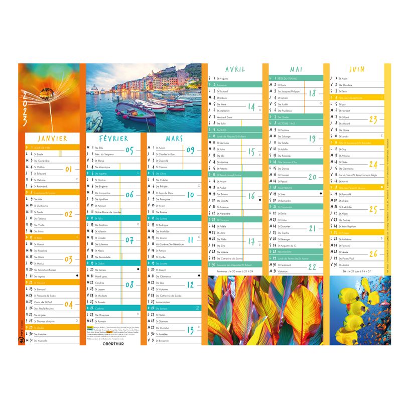 3664447125596-Oberthur Color Story - Calendrier 6 mois par face - 33,5 x 43 cm-P_79148033_1-0