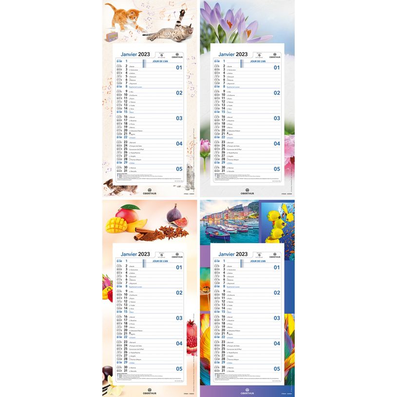 3664447125930-Oberthur - Plaque Nova mensuel - 16 x 33,3 cm - disponible dans différents modèles-P_79148040_1-0