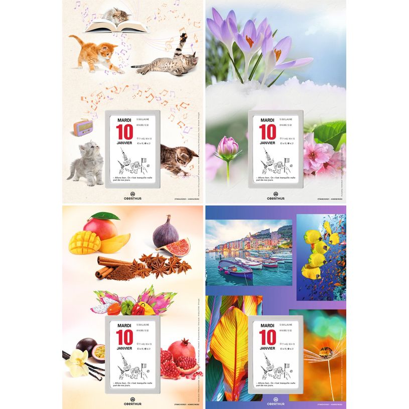 3664447125947-Oberthur - Plaque Nova + bloc éphéméride humoristique - 18 x 26 cm - disponible dans dif-P_79148041_1-0