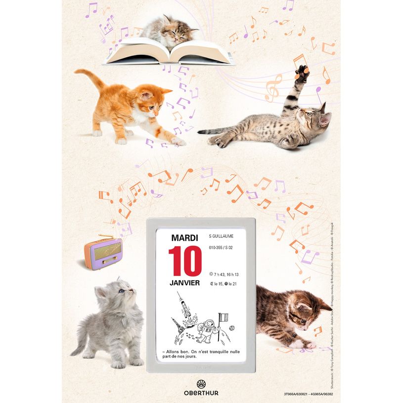 3664447125947-Oberthur - Plaque Nova + bloc éphéméride humoristique - 18 x 26 cm - disponible dans dif-P_79148041_2-1