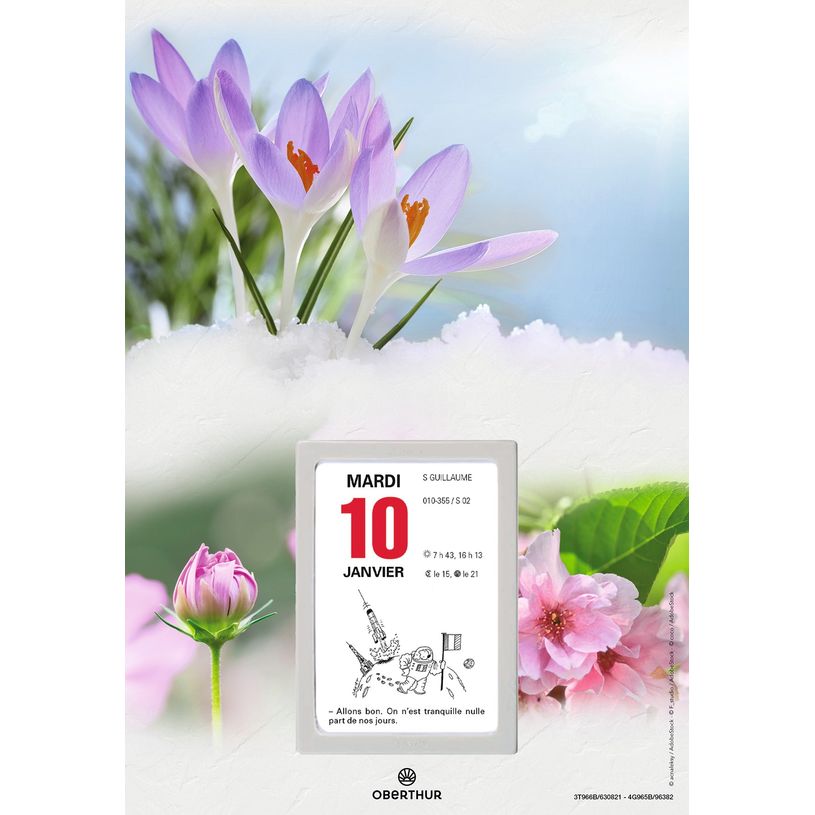 3664447125947-Oberthur - Plaque Nova + bloc éphéméride humoristique - 18 x 26 cm - disponible dans dif-P_79148041_3-2