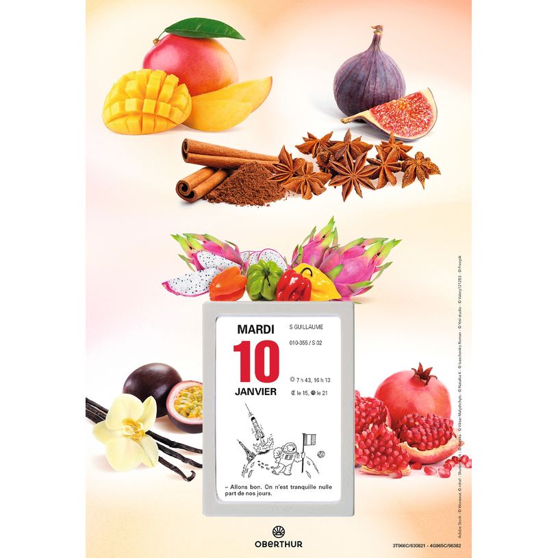 3664447125947-Oberthur - Plaque Nova + bloc éphéméride humoristique - 18 x 26 cm - disponible dans dif-P_79148041_4-3