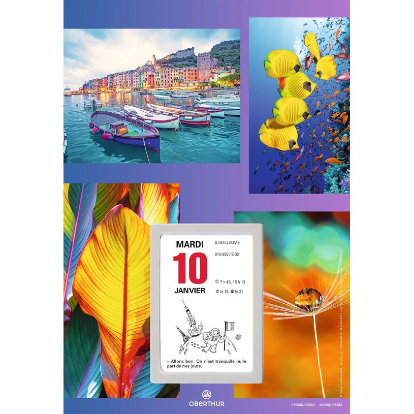 3664447125947-Oberthur - Plaque Nova + bloc éphéméride humoristique - 18 x 26 cm - disponible dans dif-P_79148041_5-4