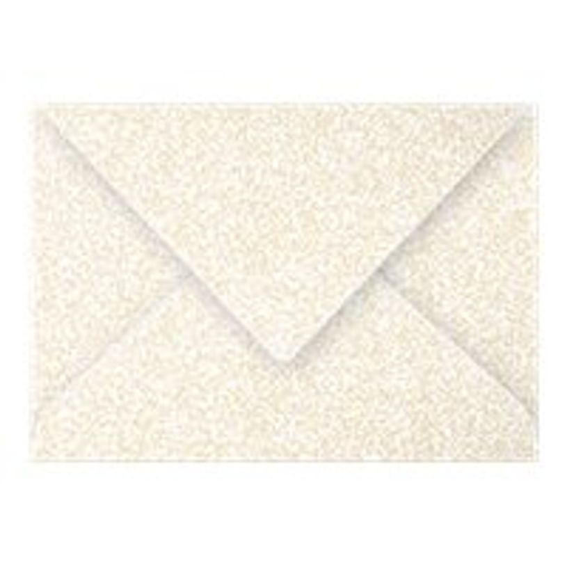 3329680540406-Pollen - 20 Enveloppes - 75 x 100 mm - 120 g/m² - ivoire irisé-P_79149295_1-0