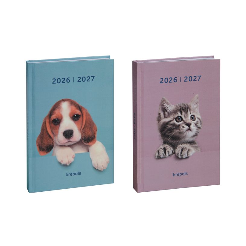 5412303371322-Agenda Amici - 1 jour par page - 11,5 x 16,9 cm - 2 modèles disponible - Brepols--0