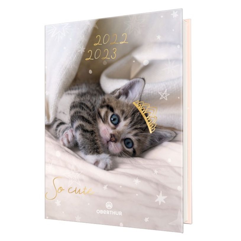 3108720615515-Agenda Chaton 1 jour par page - 12,5 x 17,5 cm - 2 décors au choix - Oberthur-P_79149932_2-1