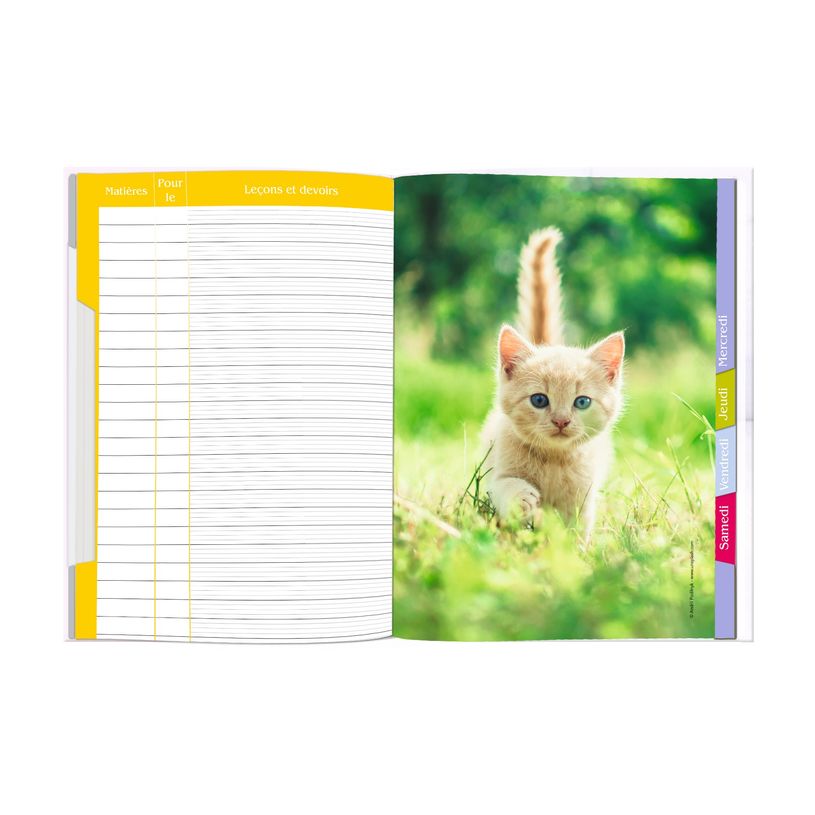 3108720514511-Cahier de textes Chaton - 15,5 x 22 cm - Oberthur-P_79149933_2-1