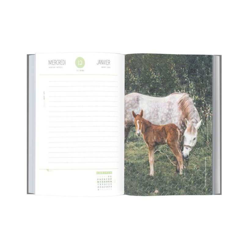 3108720615324-Agenda Cheval - 1 jour par page - 12,5 x 17,5 cm - Oberthur-P_79149965_2-1