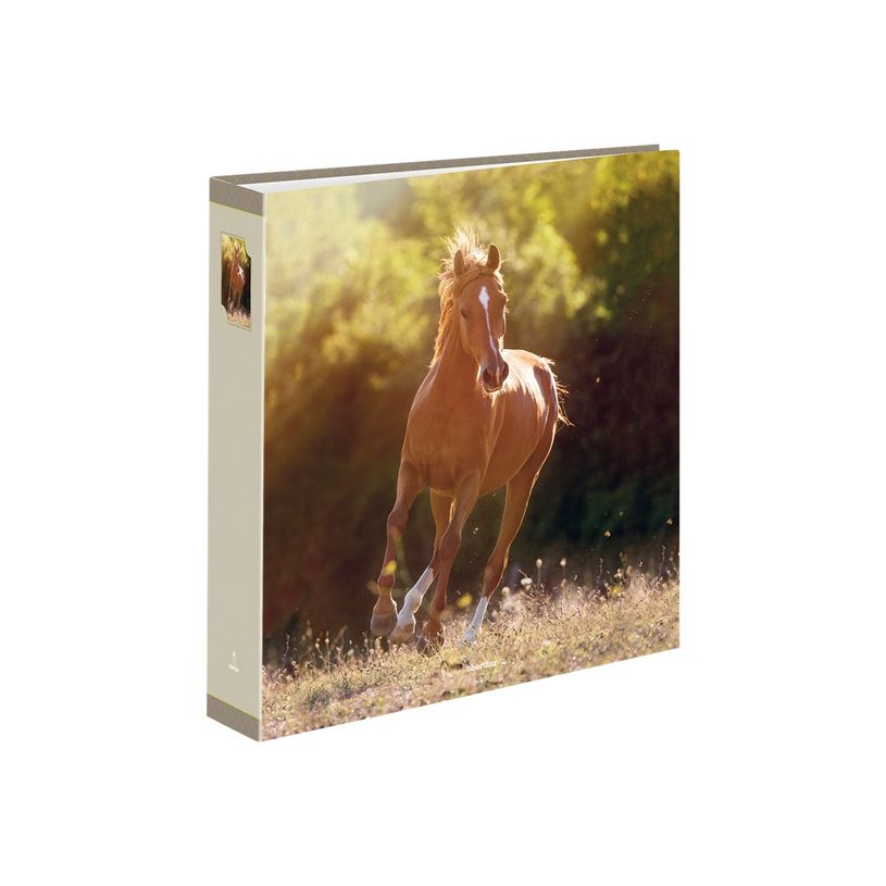 3108720598320-Oberthur Cheval Galop - Classeur à levier - Dos 80 mm-P_79149968_1-0