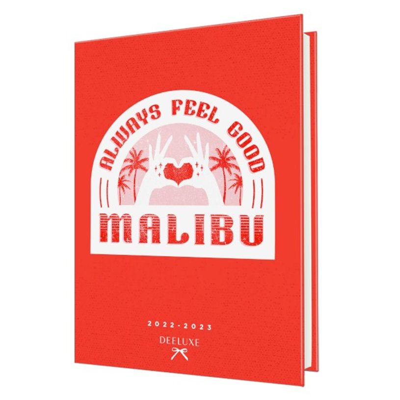 3108720615089-Agenda Oberthur Deeluxe - 1 jour par page - 12 x 17 cm - 2 décors au choix-P_79150134_2-1