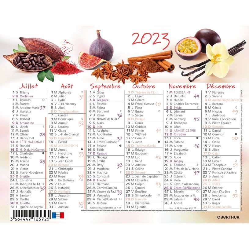 3664447125725-Oberthur - Mini calendrier 6 mois par face - différents motifs disponibles-P_79151590_4-3