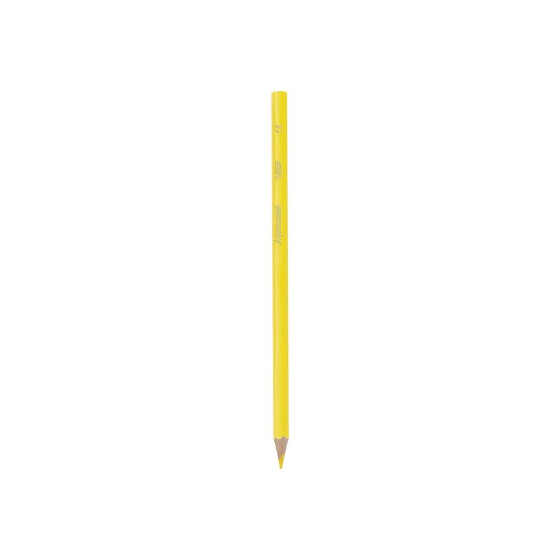 3270220000280-BIC Kids Aquacouleur - 12 Crayons de couleur aquarellables-P_79153818_5-6