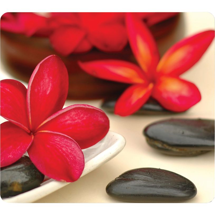 043859573769-Fellowes - Tapis de souris Earth Series  - Spa-P_79345599_1-0