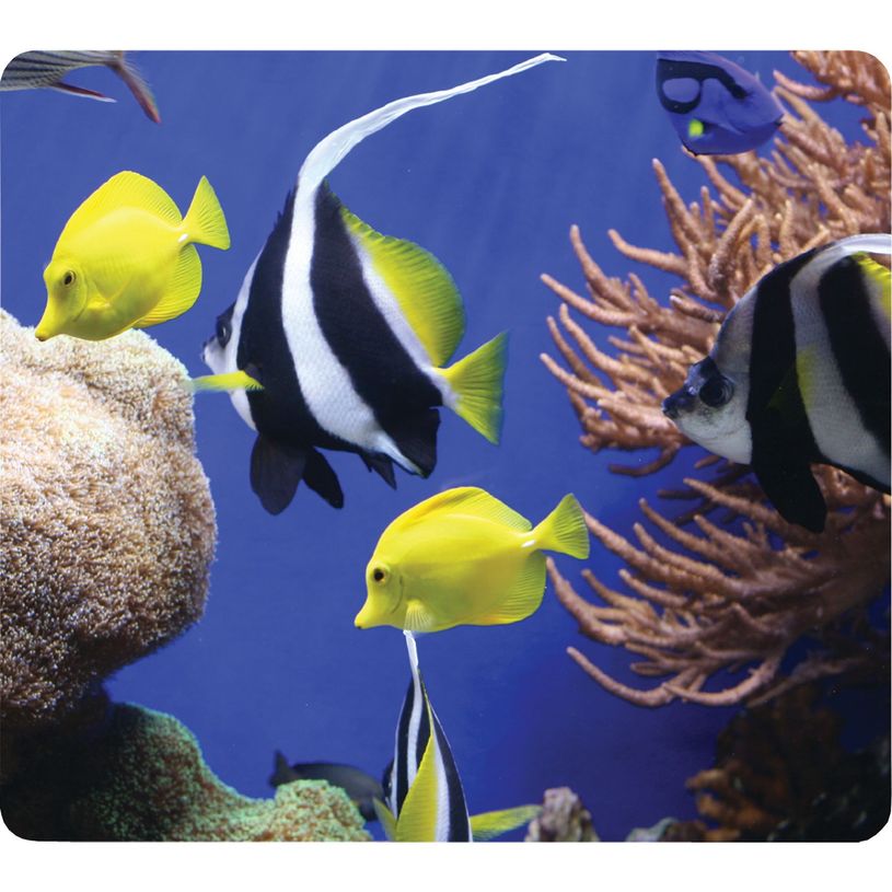 0400793456013-Fellowes - Tapis de souris Earth Series - Sous l'eau-P_79345601_1-0