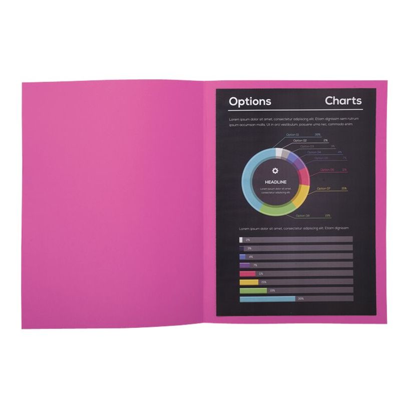 3288582171203-Exacompta Rock"s - 10 Chemises - 210 gr - fuchsia-P_79346075_4-2