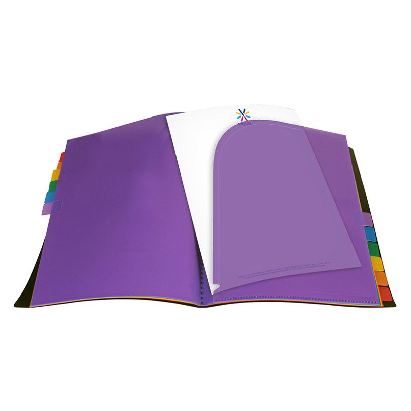 3135254910670-Viquel Rainbow Class - Porte vues avec 12 onglets et pochettes - A4-P_79346818_2-1