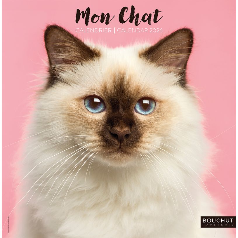 3592930027020-Calendrier illustré BOUCHUT 30 x 30 cm MON CHAT Pefc 70 %--0