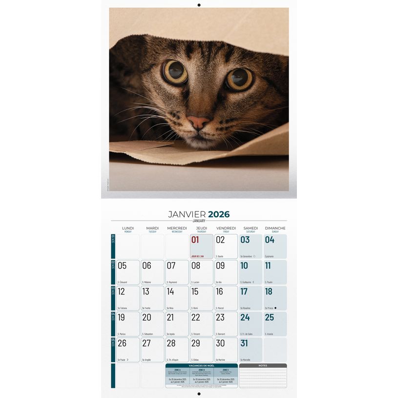 3592930027020-Calendrier illustré BOUCHUT 30 x 30 cm MON CHAT Pefc 70 %--1