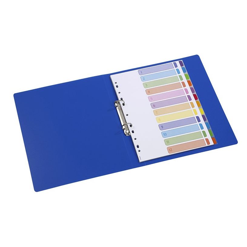 3135251583570-Viquel Intercolor - Intercalaire 12 positions - A4 - polypropylène coloré-P_79348701_4-3