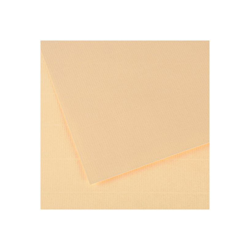 3148952511223-CANSON Ingres Vidalon 48 - papier à dessin-P_79349258_1-0