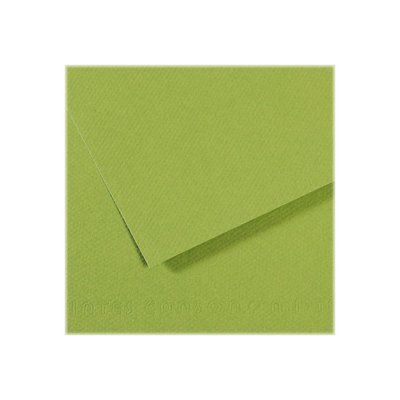 3148953211542-Canson Mi-Teintes - Papier à dessin - 50 x 65 cm - vert pomme-P_79349264_1-0
