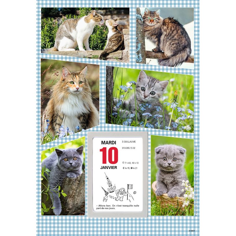 3664447125916-Oberthur - Plaque Illustrée + bloc éphéméride humoristique - 18 x 26 cm - disponible da-P_79351466_2-1