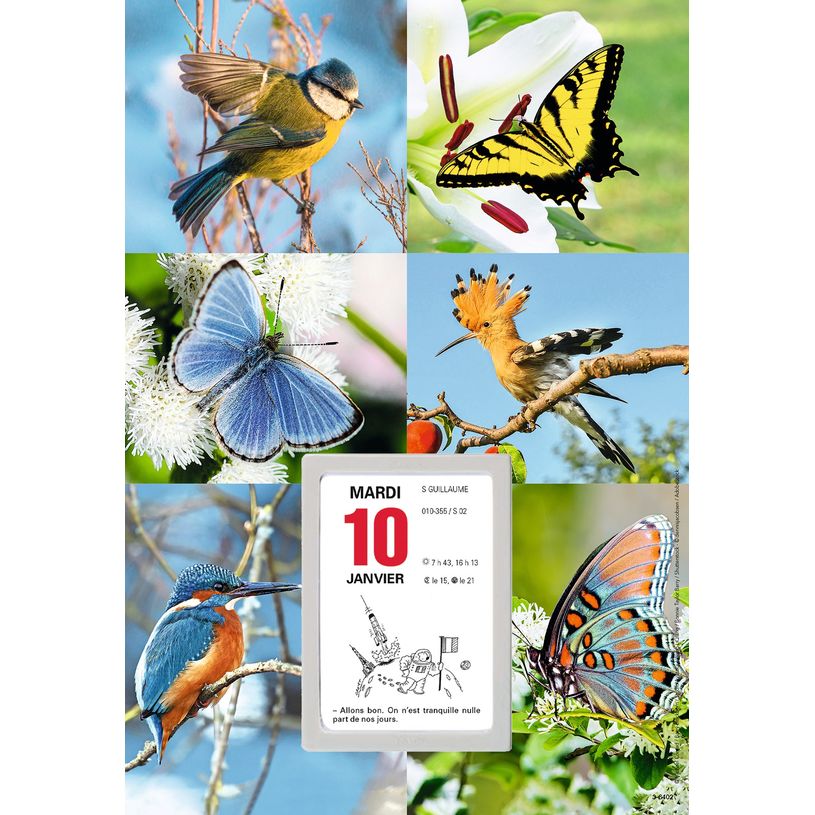 3664447125916-Oberthur - Plaque Illustrée + bloc éphéméride humoristique - 18 x 26 cm - disponible da-P_79351466_3-2