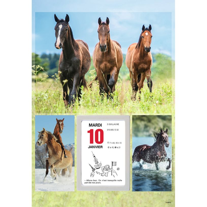 3664447125916-Oberthur - Plaque Illustrée + bloc éphéméride humoristique - 18 x 26 cm - disponible da-P_79351466_4-3