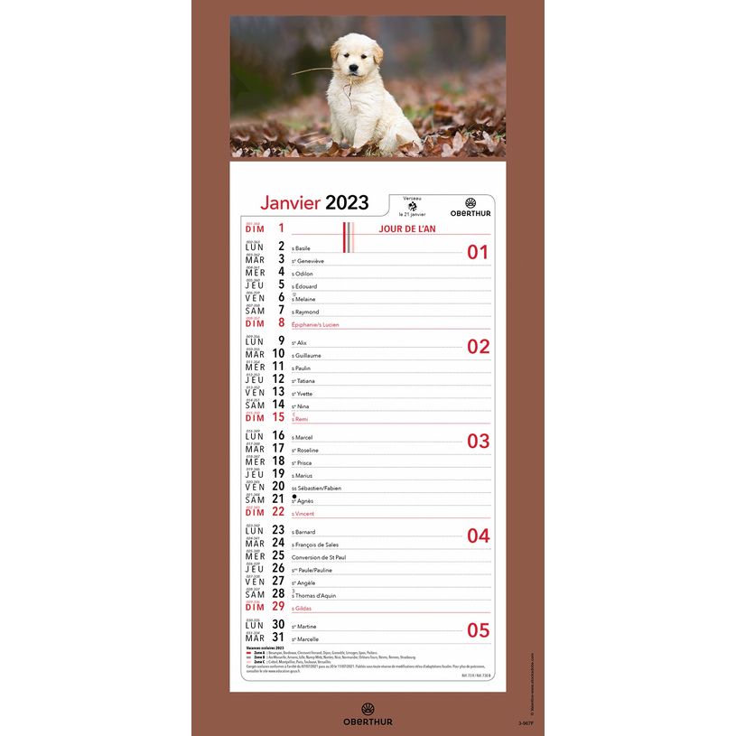 3664447125923-Oberthur - Plaque Illustrée mensuel - 16 x 33,3 cm - disponible dans différents modèles-P_79351467_15-5