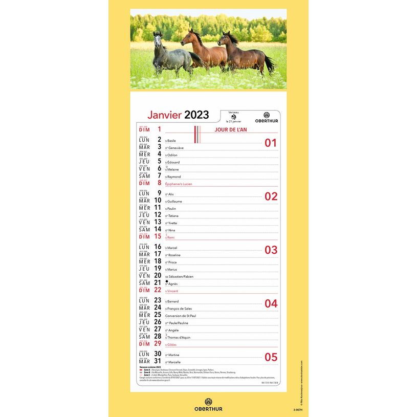 3664447125923-Oberthur - Plaque Illustrée mensuel - 16 x 33,3 cm - disponible dans différents modèles-P_79351467_17-7
