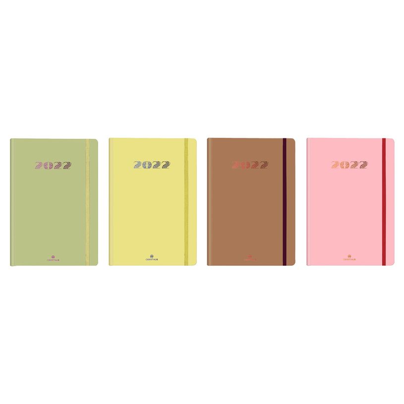 3108728251500-Agenda à élastique Cachemire - 1 semaine sur 2 pages - 17 x 24,5 cm - disponible dans dif-P_79351482_1-0