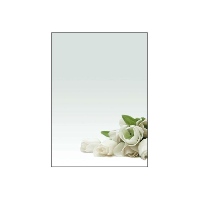 8410782121268-DECAdry Multipurpose - Papier illustré - 20 feuilles - motif fleur blanche-P_79354343_1-0