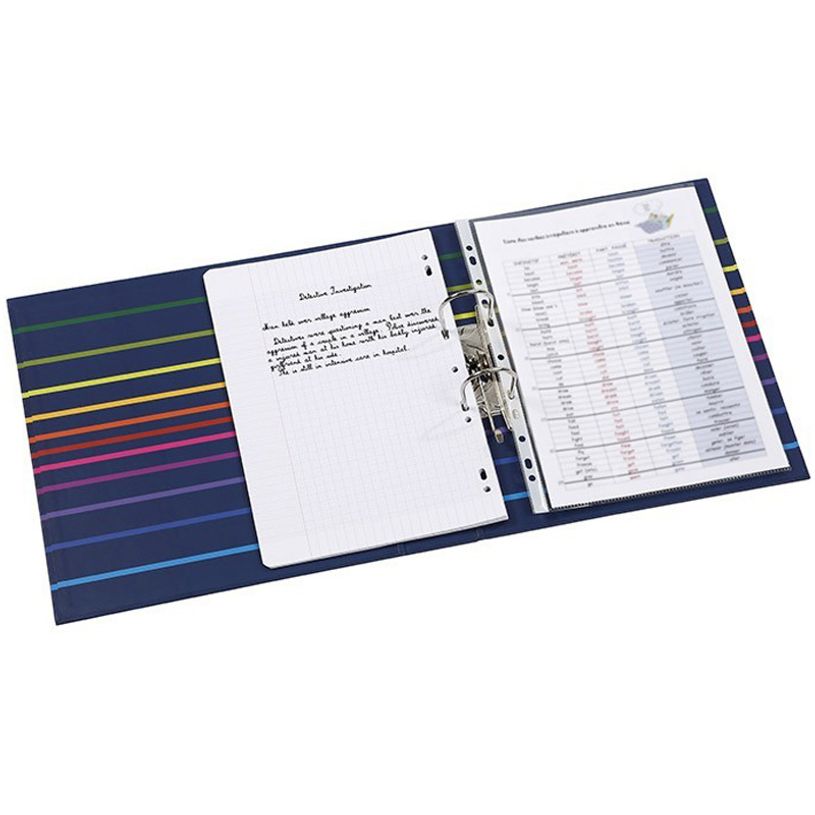 3135256019074-Viquel Envy - Classeur à levier - Dos 70 mm - A4 Maxi - rayures-P_79356164_3-2