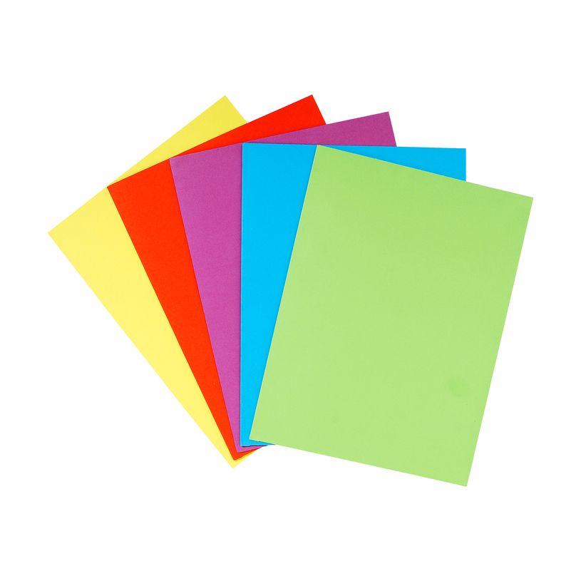 3130634150004-Exacompta Nature Future - 25 Chemises double poche - 220 gr - couleurs assorties-P_79359249_3-2