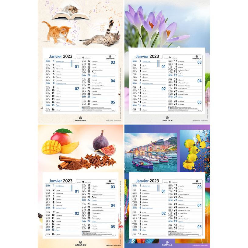 3664447125961-Oberthur - Plaque Nova mensuel - 18 x 26 cm - disponible dans différents modèles-P_79360122_1-0