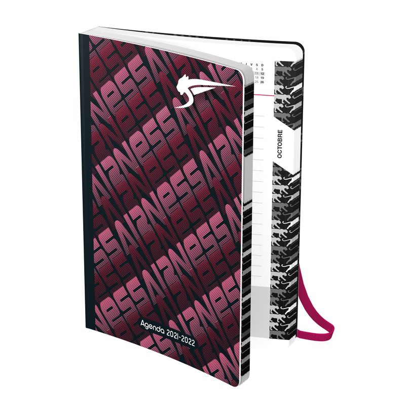 3020120009421-Agenda semi-rigide Airness Alaric - 1 jour par page - 12 x 17 cm - différents modèles dis-P_79364201_1-0