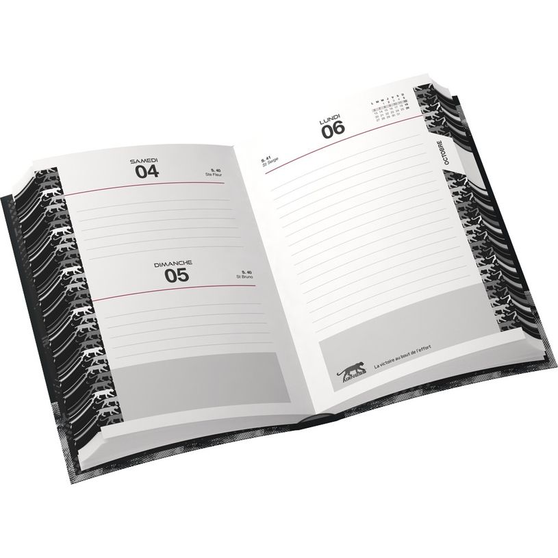 3020120009421-Agenda semi-rigide Airness Alaric - 1 jour par page - 12 x 17 cm - différents modèles dis-P_79364201_3-2