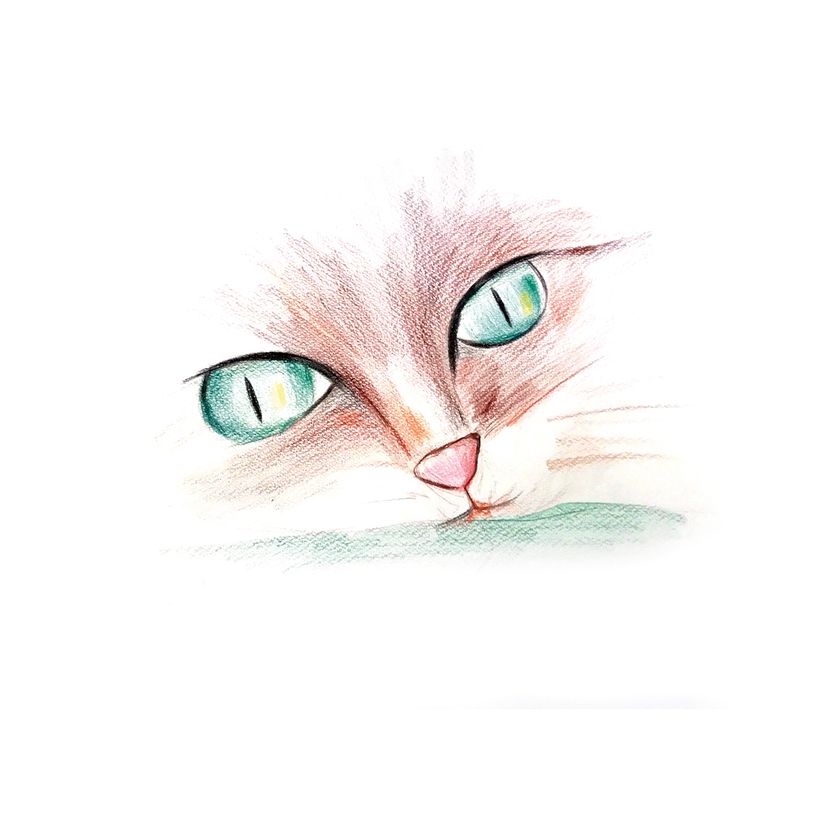 3270220076421-BIC Kids ecolutions Evolution - 24 Crayons de couleur-P_79367006_9-7