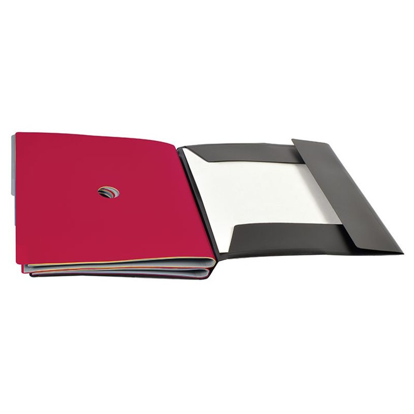 3135259972055-Viquel Tridoc - Trieur personnalisable 16 positions-P_79367427_5-4