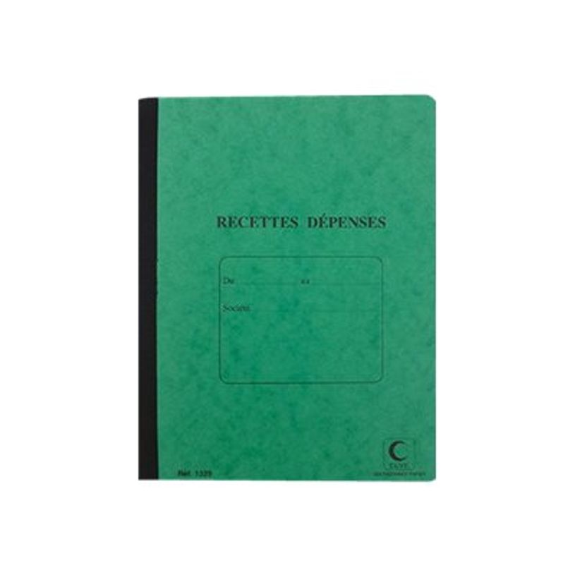 3416790013293-ELVE - Piqûre recettes/dépenses - 22 x 17 cm - 80 pages-P_79369047_1-0