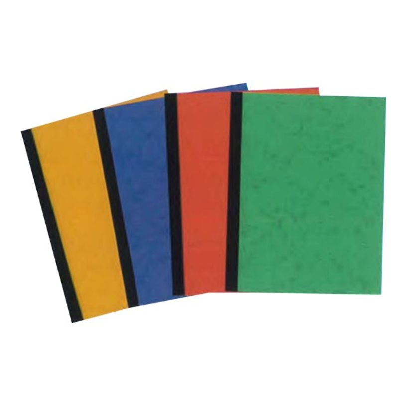 3416790810519-ELVE - Piqûre comptable - 5 colonnes par page - 31 x 21 cm - 100 pages-P_79369071_1-0