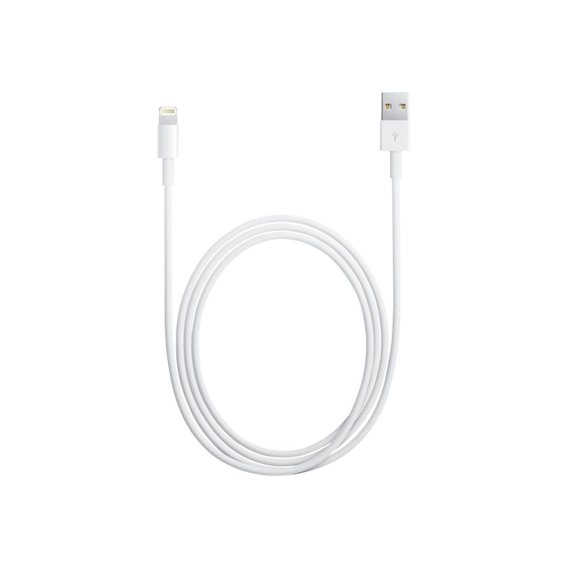 0190199534865-Apple câble Lightning - Lightning / USB - 1 m-P_79373245_1-0