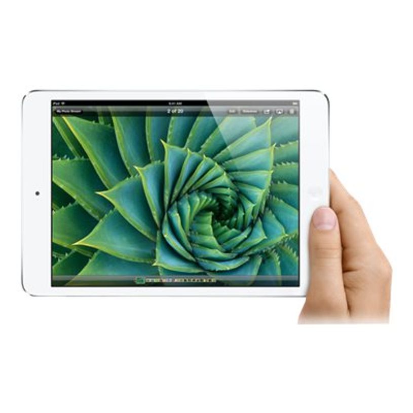 885909667581-Apple iPad mini Wi-Fi - 1er gen - tablette 7,9" - 16 Go -P_79373287_2-12