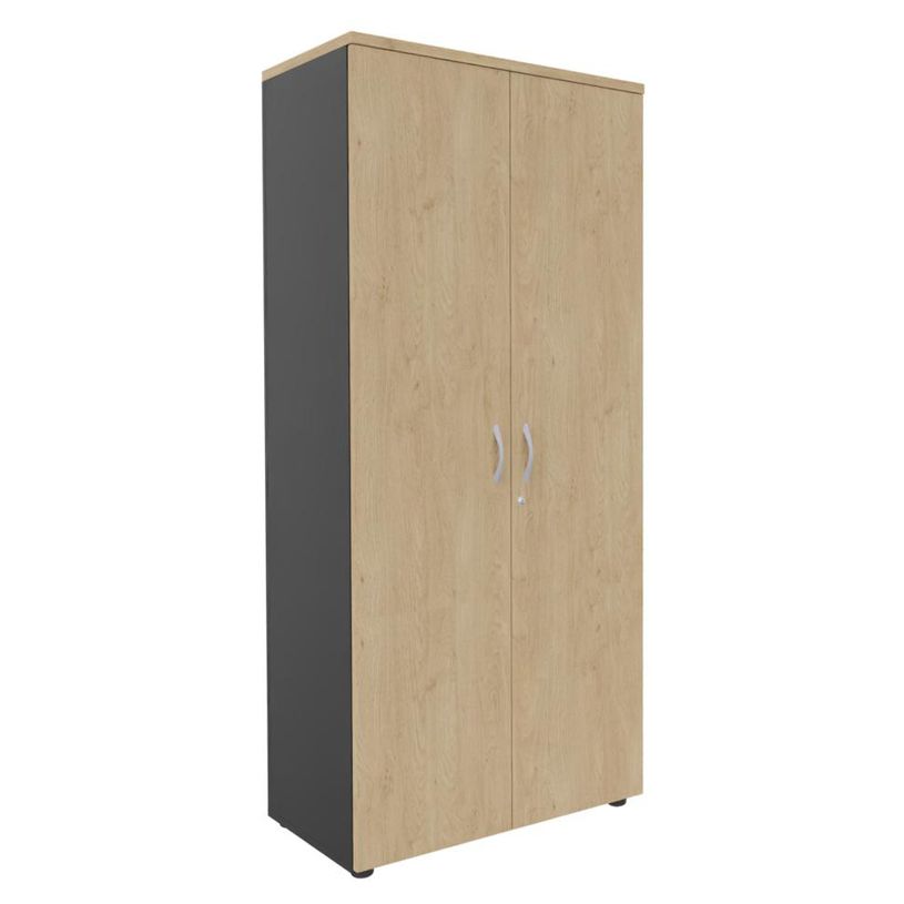 3253310174610-Armoire haute IDRA/DUAL - H180 x L80 x P47 - 2 portes - Corps anthracite - Portes et dessus imitation C--0