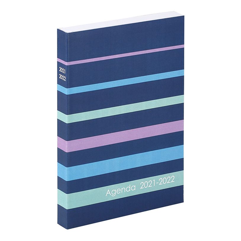 3135257169075-Agenda Envy - 1 jour par page - 12 x 17 cm - Viquel-P_79386416_2-1