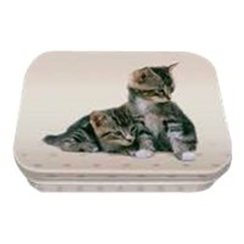 3108720488515-Oberthur Chatons - Boîte à bons points-P_79386631_1-0