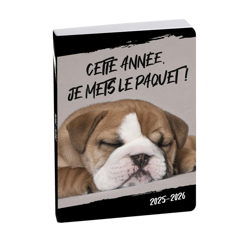 3660942244008-Agenda Funny Pets - 1 jour par page - 12 x 17 cm - disponible dans différentes couleurs - -P_79387484_9-1