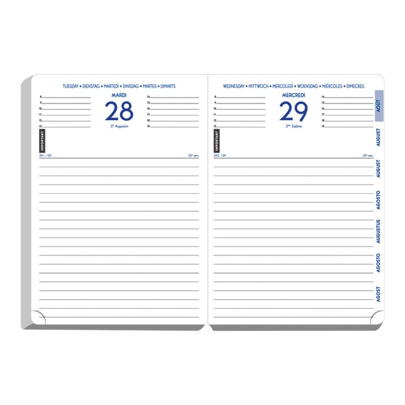 3660942243995-Agenda Dragon Ball S - 1 jour par page - 12 x 17 cm - disponible dans différents visuels --P_79387486_1-5