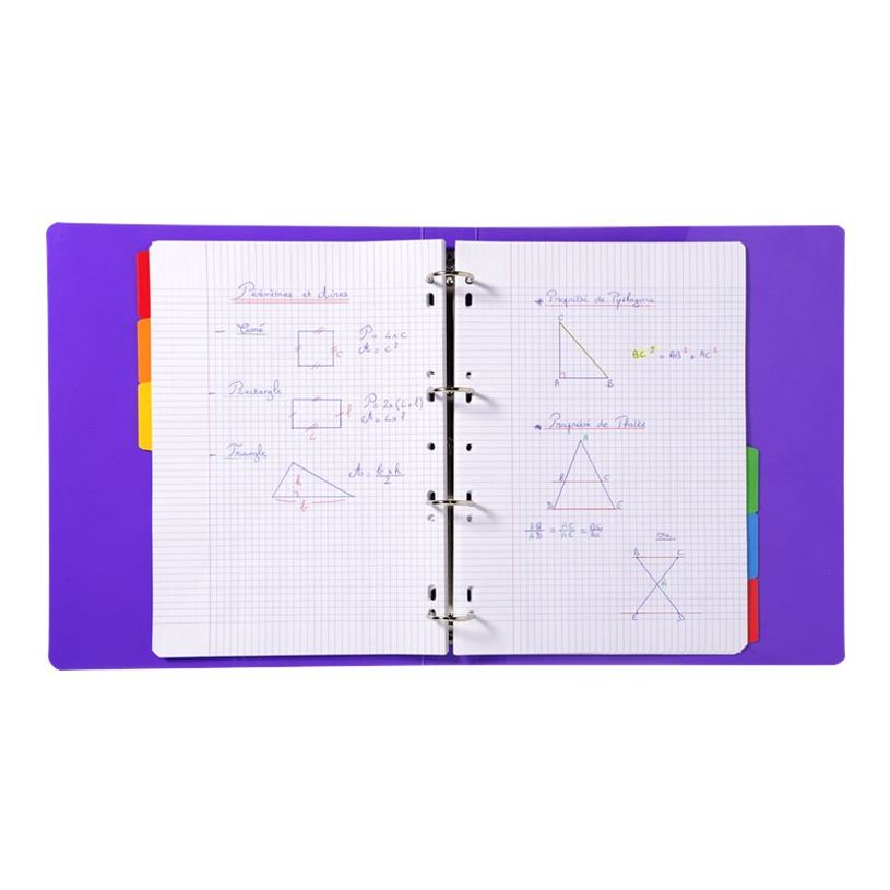 3130630023067-Exacompta Nature Future - Intercalaire 6 positions - A4 - carte blanche-P_79389276_1-4